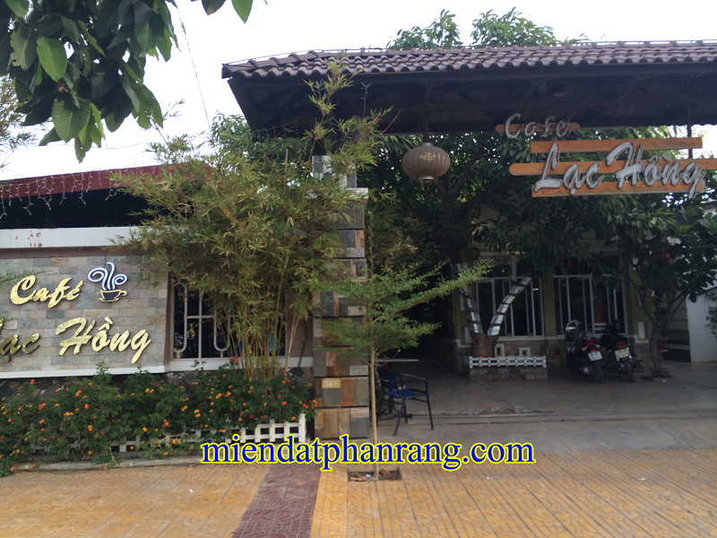 cafe lạc hồng phan rang
